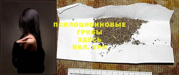 дурь Абдулино