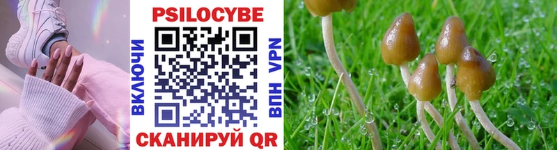 Галлюциногенные грибы Cubensis  нарко площадка наркотические препараты  Барыш 
