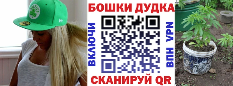 Бошки Шишки гибрид  Барыш 
